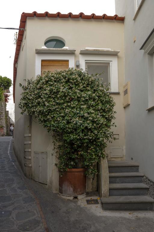 Casa Piccola By Capri 5 Senses Villa Buitenkant foto